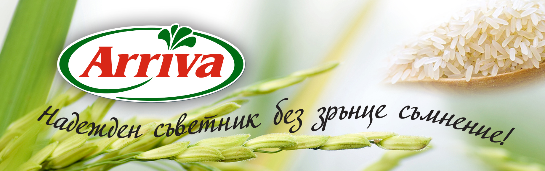 Арива